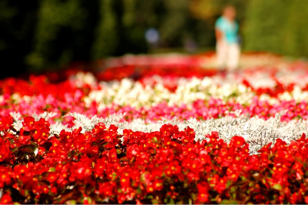 Primavera em Portugal